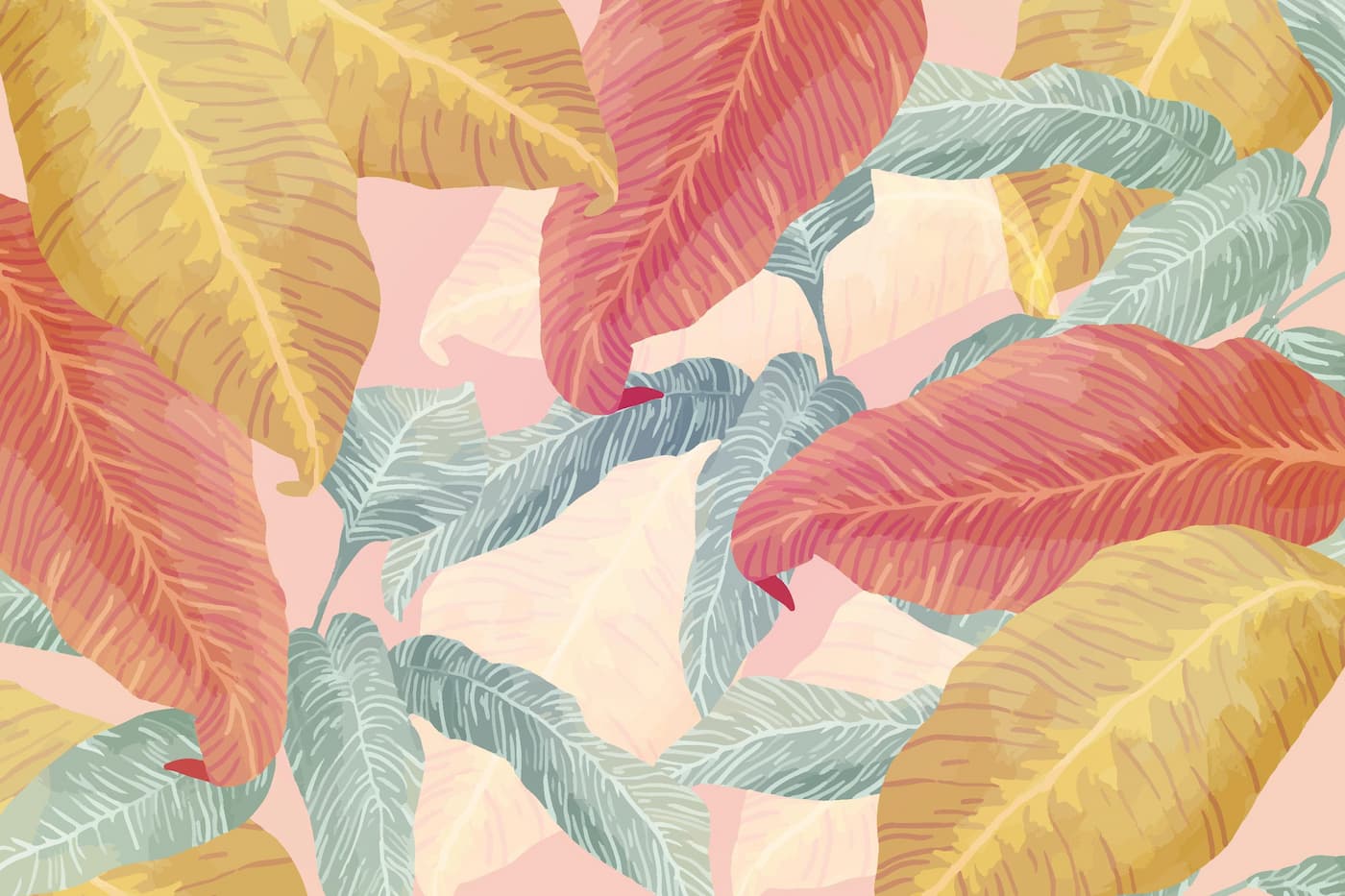 Papier peint feuilles plantes tropicales colorées