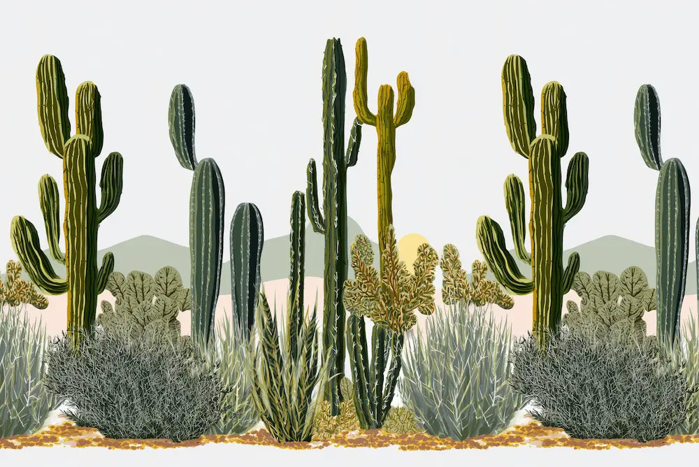 Motif Papier Peint Cactus