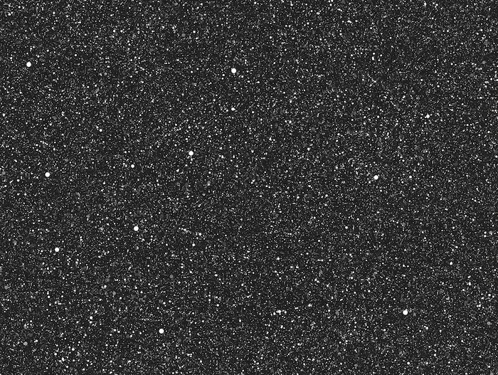 Motif papier peint noir pailleté