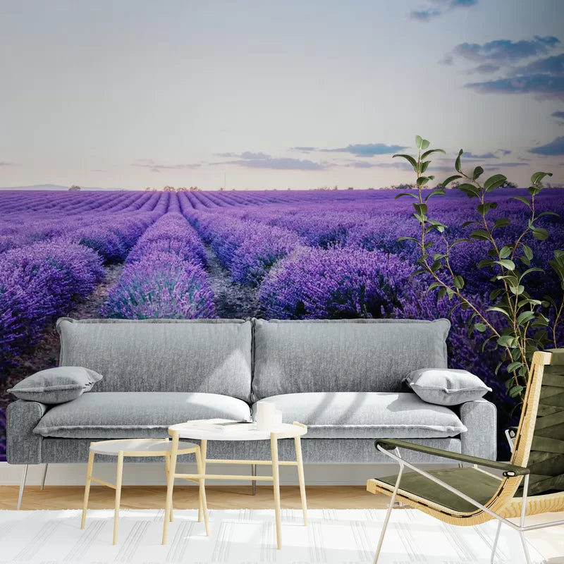 Papier peint Papier peint Lavande offre une paisible