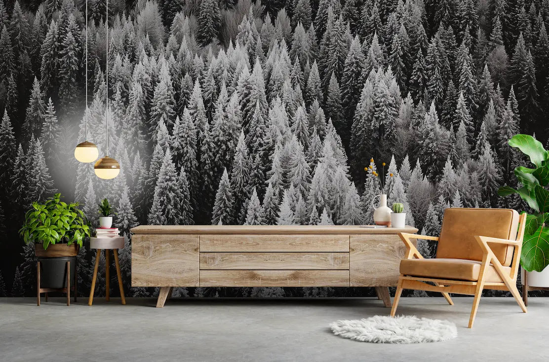 panoramique foret noir et blanc