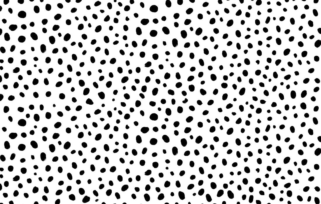 Papier peint Papier peint couloir noir et blanc animalier inspiré minimaliste
