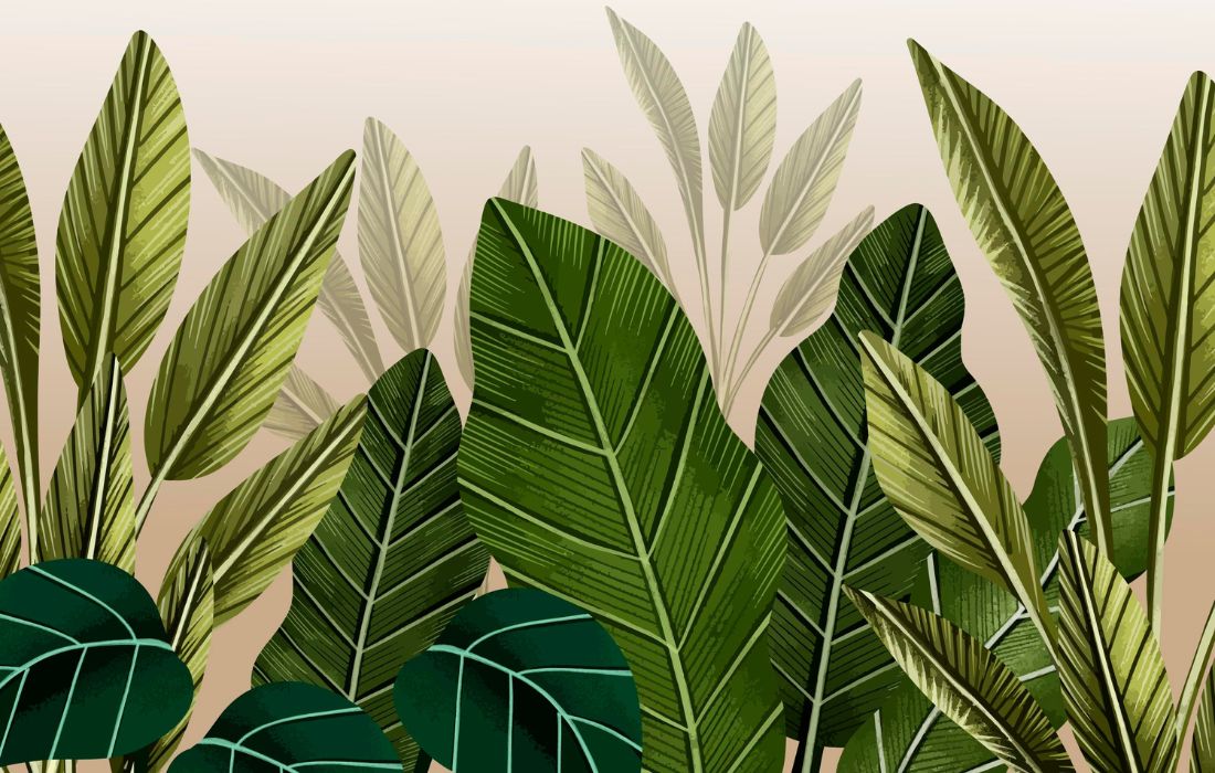 Papier peint Papier peint jungle couloir luxuriant de évoque