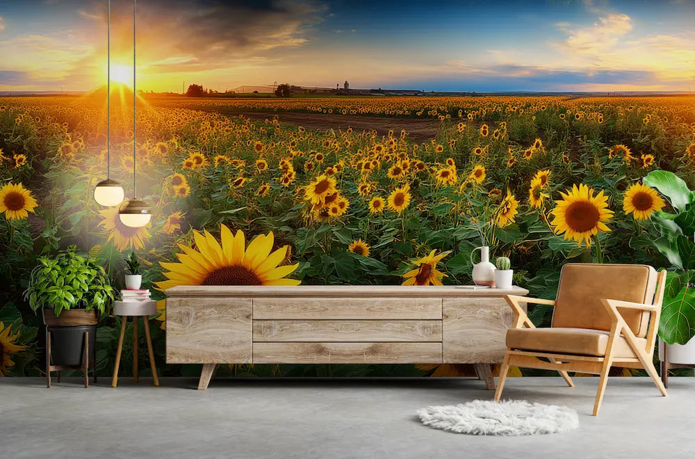 papier peint tournesol