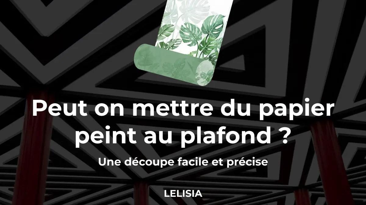 Peut on mettre du papier peint au plafond ?