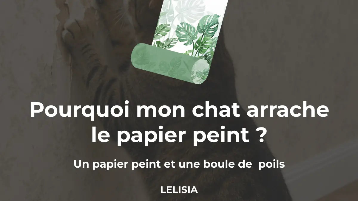 Pourquoi mon chat arrache le papier peint ?