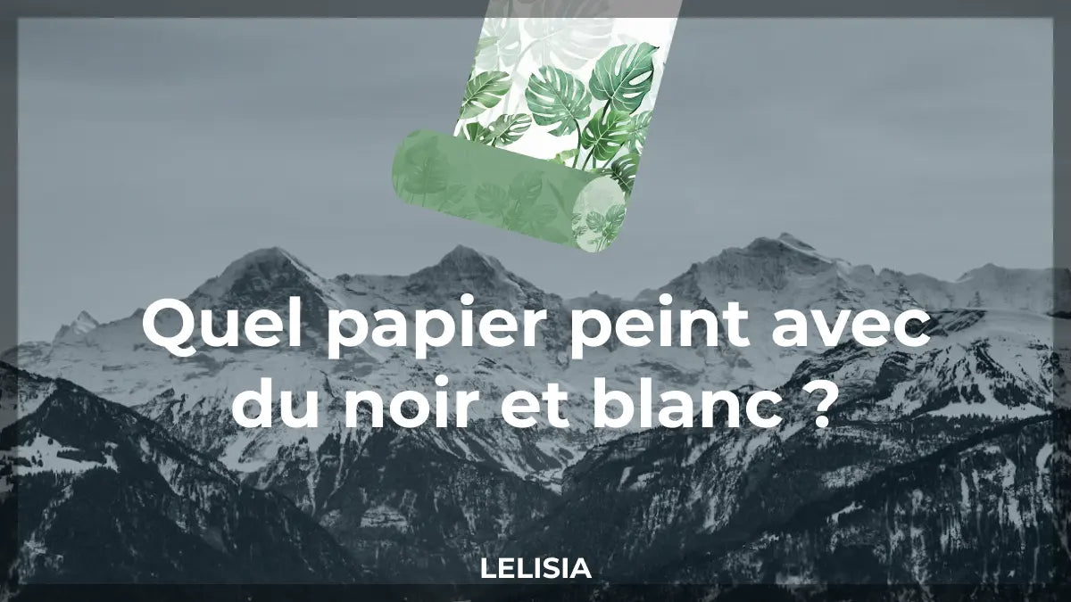Quel papier peint avec du noir et blanc ?