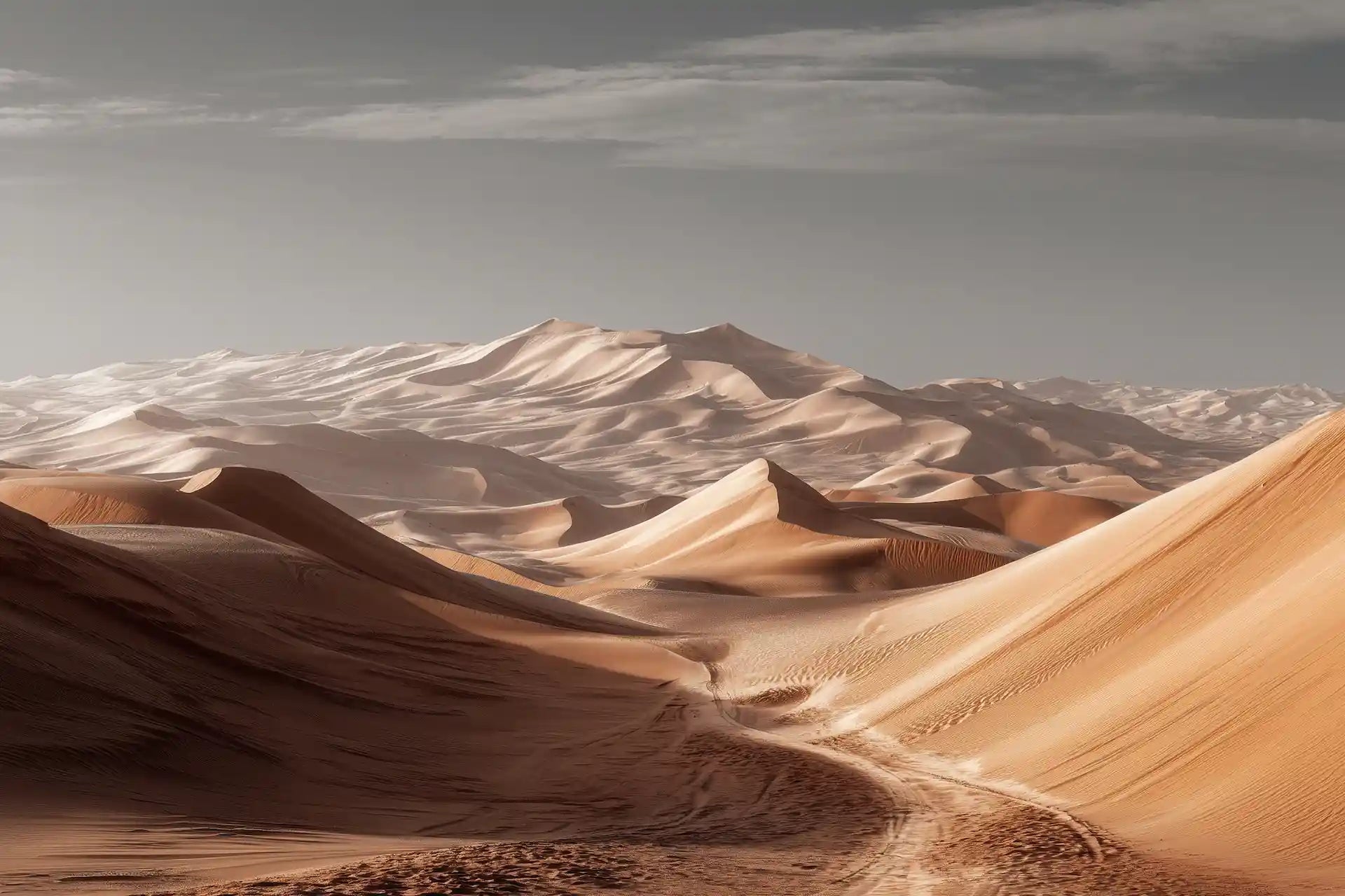 Papier Peint désert