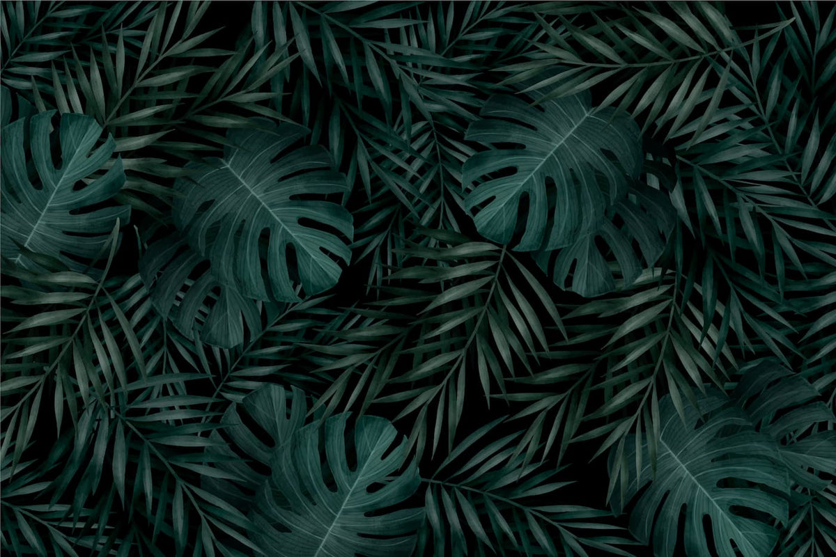 Papier peint feuillage palmier tropical vert foncé