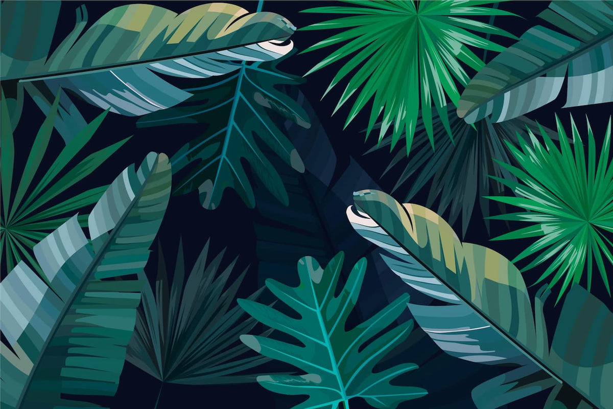 Papier peint feuillage palmier tropical