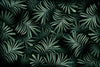 Papier peint feuilles tropicales vert foncé