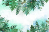Papier peint feuillage tropical vert