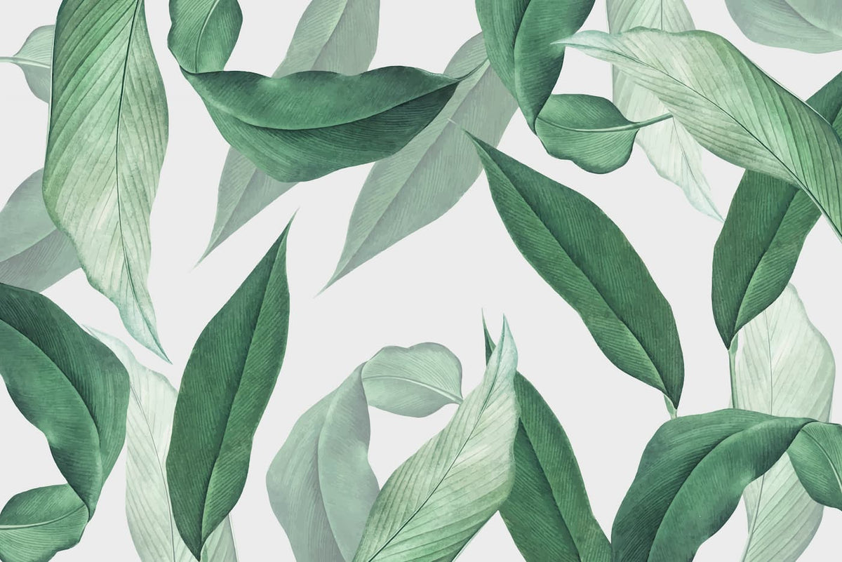 Papier peint feuilles tropicales verte