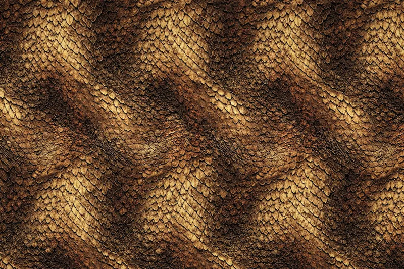 Papier Peint Écaille De Dragon
