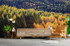 Papier peint Papier peint paysage panoramique forêt d'automne offre une chaleureuse