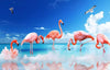 Papier peint panoramique flamants roses dans l'eau