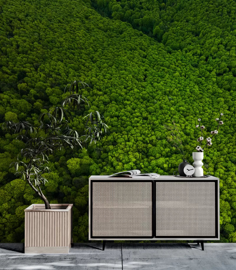 Papier peint Papier peint forêt de pins vue du ciel organique et apporte