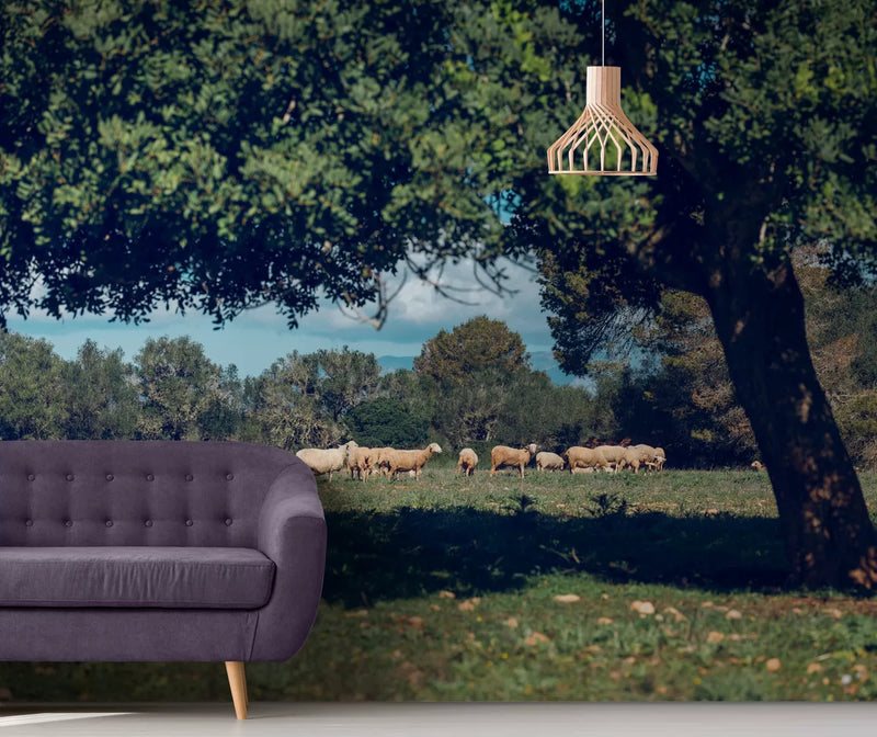 Papier peint Papier peint moutons dans l'herbe douces et champêtre,