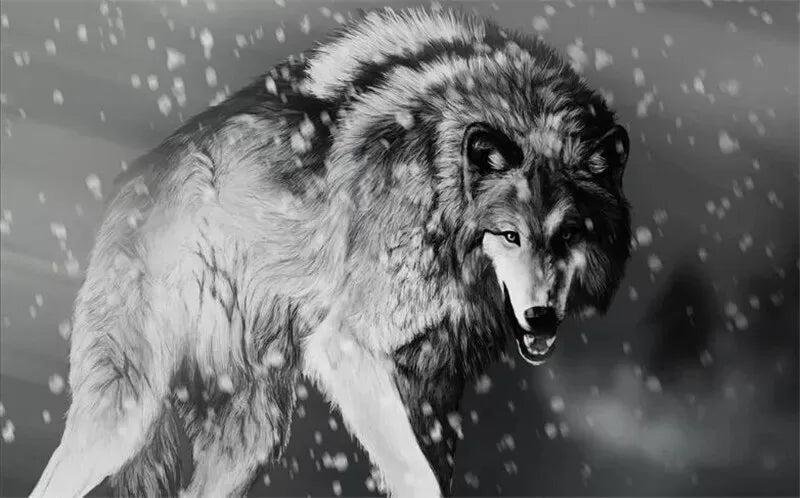 Papier peint loup arctique noir et blanc