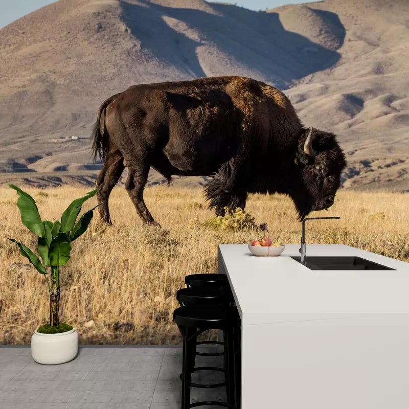 Papier peint Papier peint prairies et bisons western, inspirée