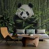 Papier peint Papier peint panda et forêt de bambou crée une zen