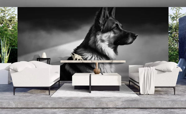 Papier peint Papier peint chien noir et blanc apportera une contemporain