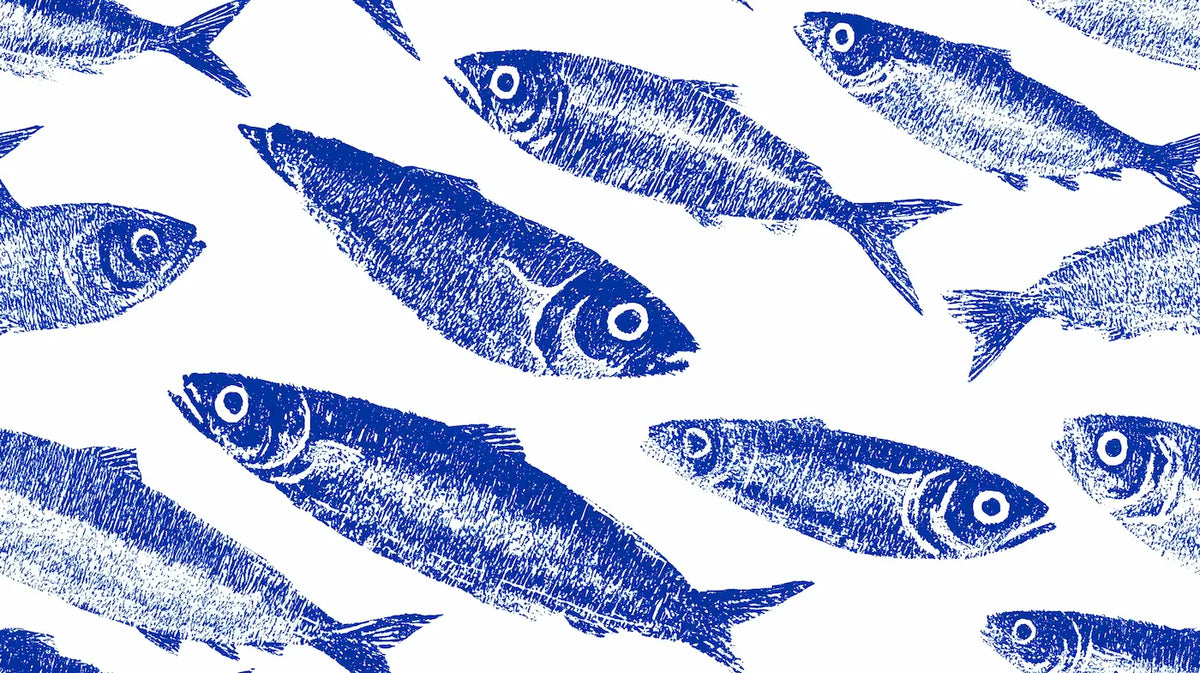 Papier Peint Poisson Bleu