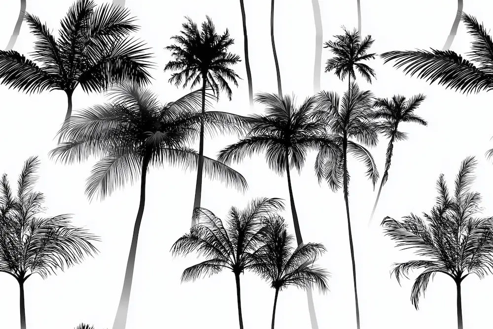 Motif Papier Peint Cocotier Noir Et Blanc