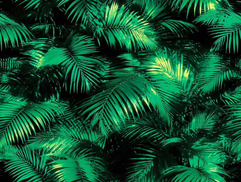 Motif papier peint emmanuelle rivassoux