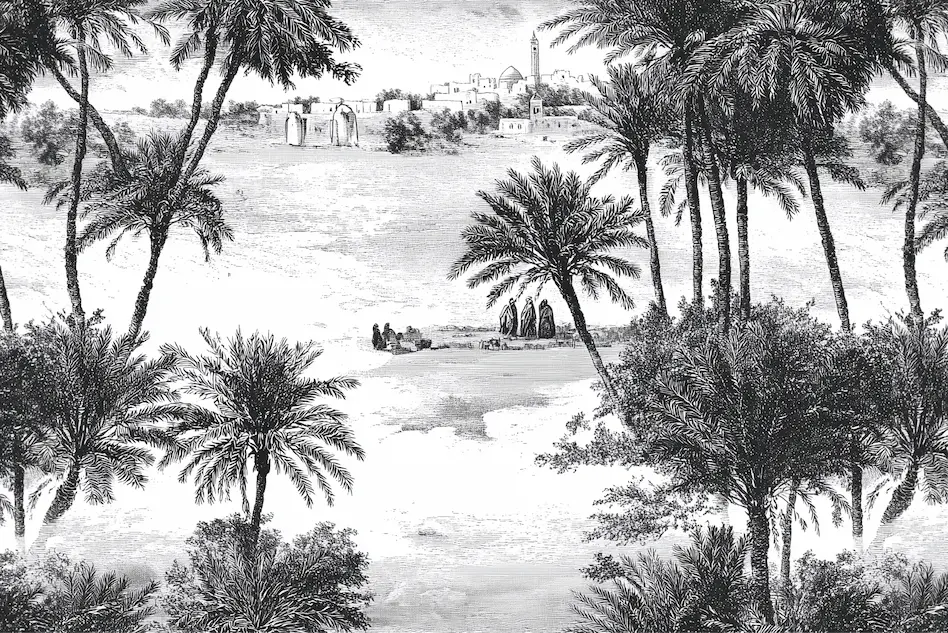 Motif papier peint foret noir et blanc