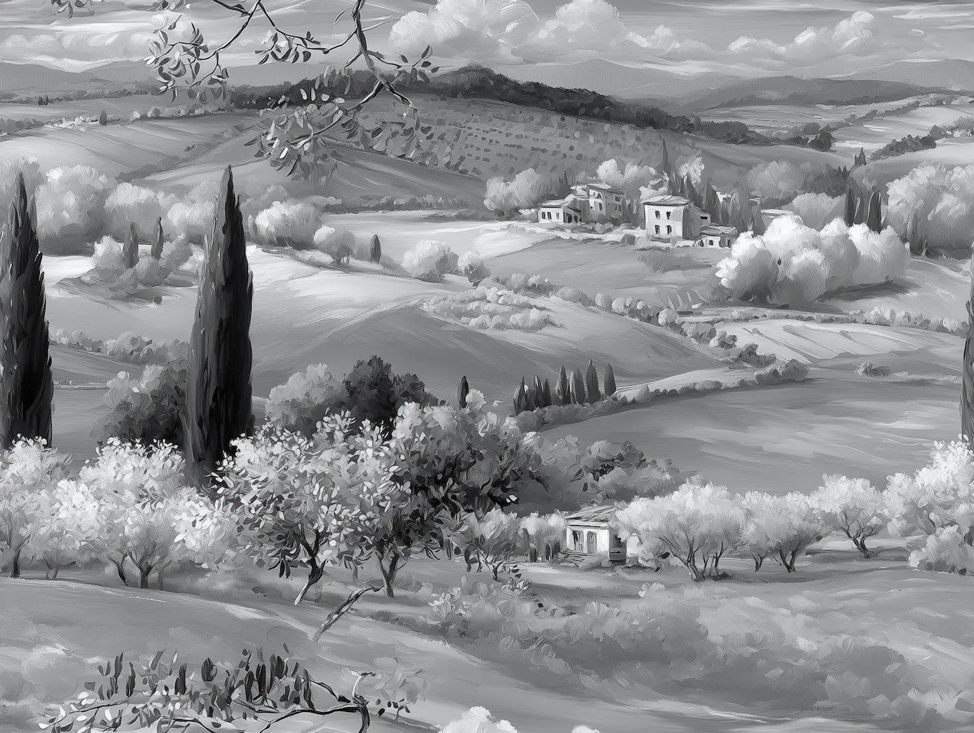 Motif papier peint panoramique oliviers noir et blanc