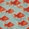 Papier Peint Poisson Rouge