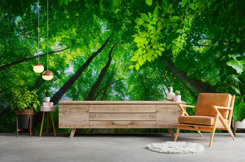 Papier peint Papier peint forêt verdoyante ensoleillée crée une scandinave,