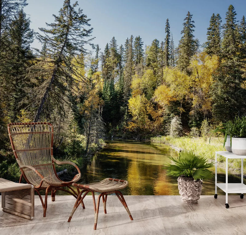 Papier peint Papier peint arbres aux bord de l'eau présente des automnales.