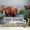 Papier peint Papier peint vaches highland inspiré des chaudes,