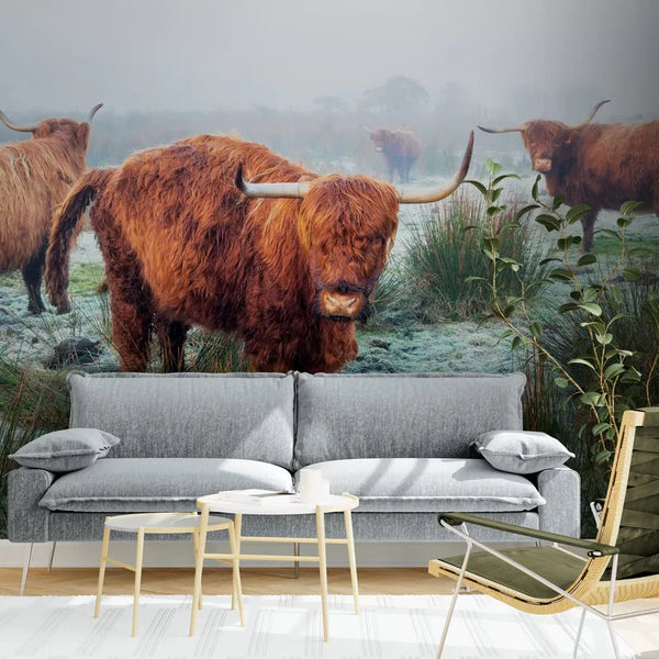 Papier peint Papier peint vaches highland inspiré des chaudes,