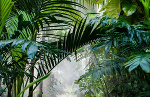 Papier peint Tropical