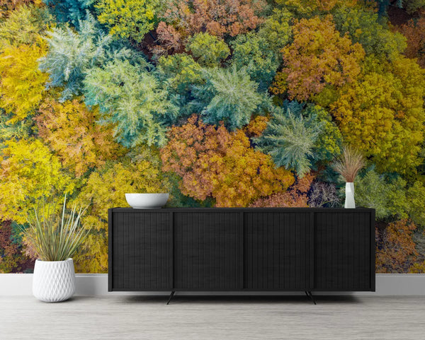 Papier peint Papier peint forêt d'automne vue du ciel apporte une automnales