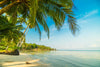 Papier peint cocotier bord de mer