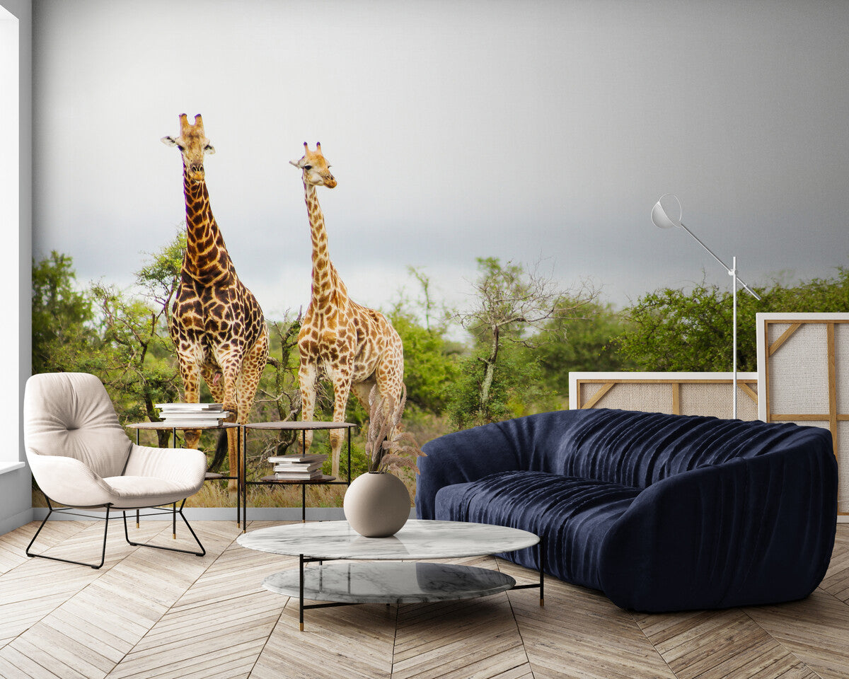 Papier peint Papier peint plantes tropicales et girafes offre une exotique