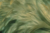Papier peint plumes vertes