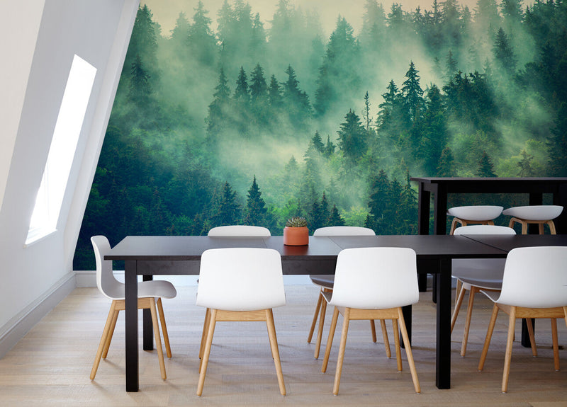Papier peint Papier peint paysage panoramique forêt de sapins et brouillard crée une sereine