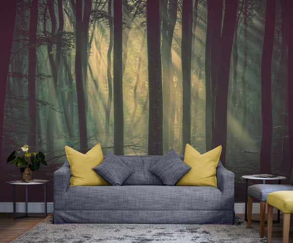 Papier peint Papier peint forêt sombre immersive et