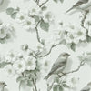 Rouleau de papier peint oiseaux vert sauge Faustine déployé sur une table en bois, révélant un motif botanique élégant avec des oiseaux perchés sur des branches fleuries aux teintes douces et naturelles