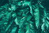 Papier peint feuillage plantes vertes exotiques
