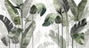 Papier peint feuillage forêt tropicale verte
