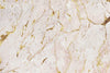 Papier peint marbre beige et doré