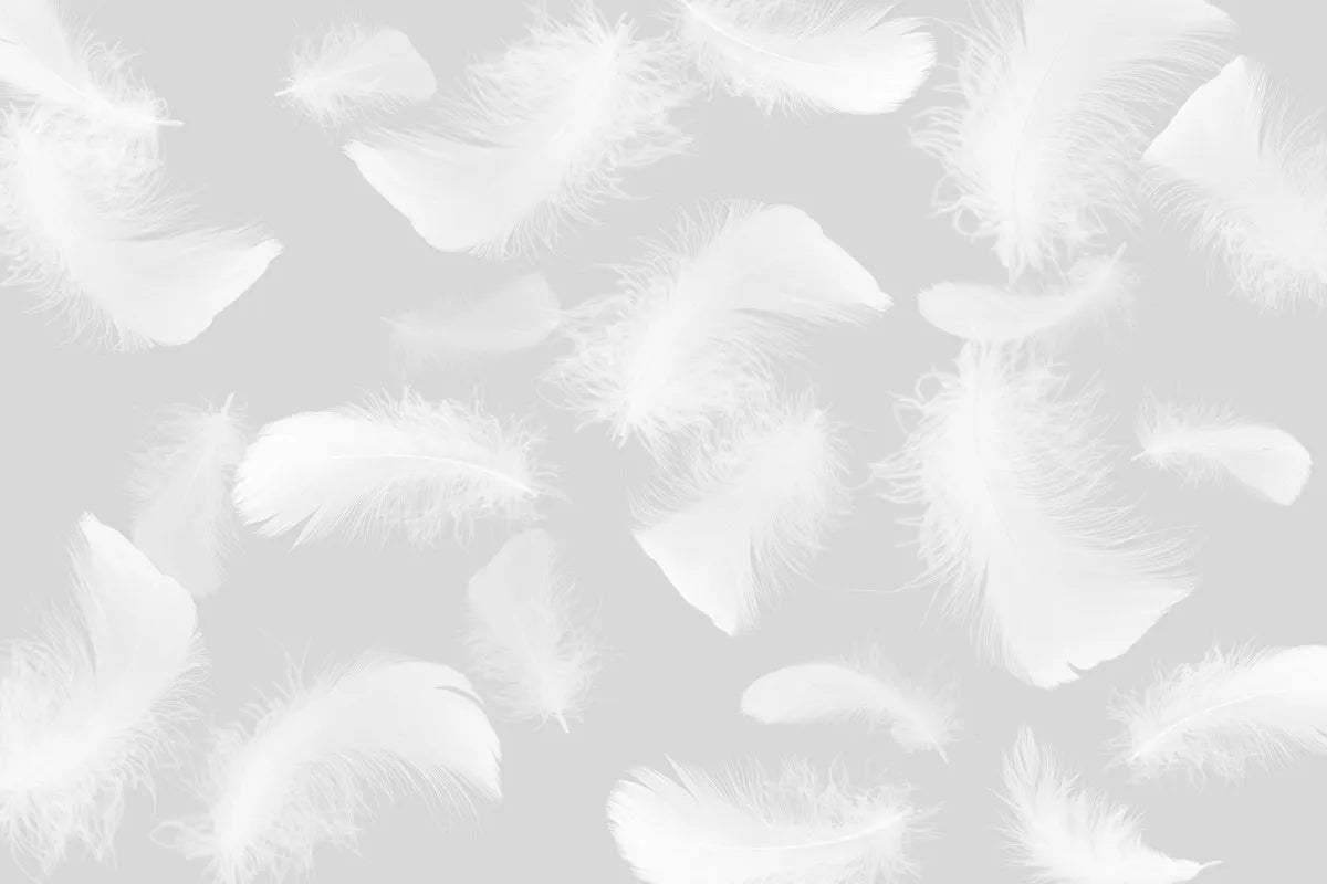 Papier peint plumes blanches