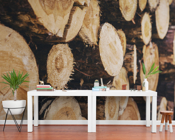 Papier peint Papier peint rondins de bois réaliste de évoque