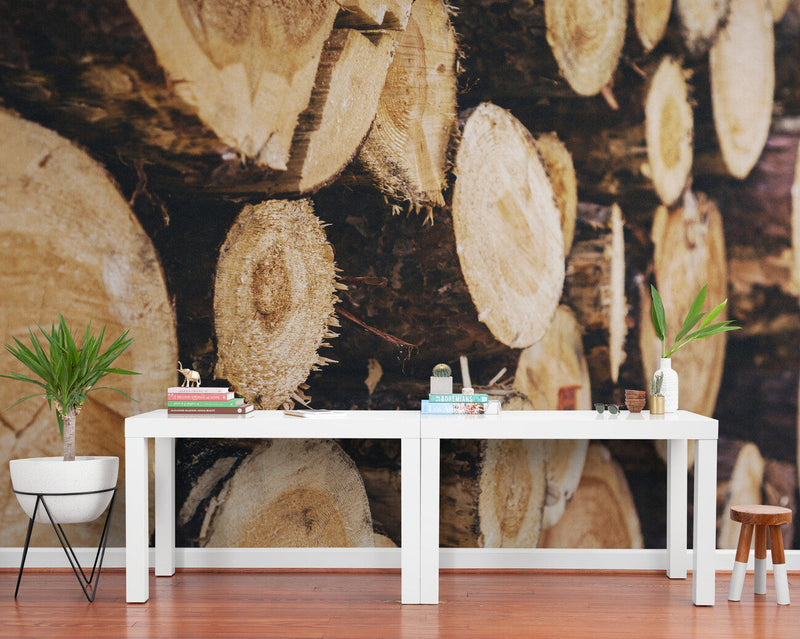 Papier peint Papier peint rondins de bois réaliste de évoque